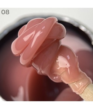 Полігель Art Polygel 15 мл №08
